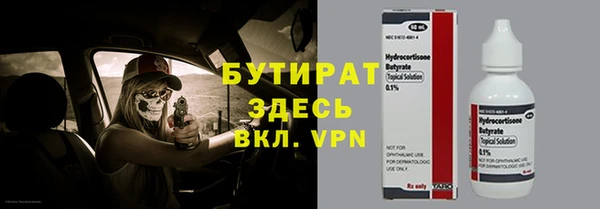 дмт Пересвет