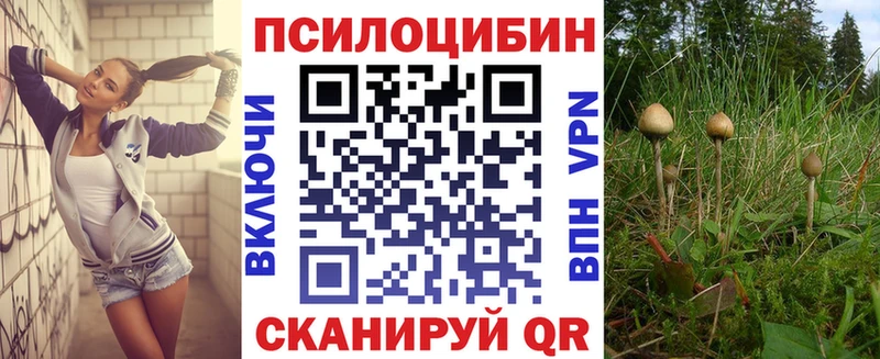 Псилоцибиновые грибы мухоморы  MEGA как зайти  Горнозаводск 